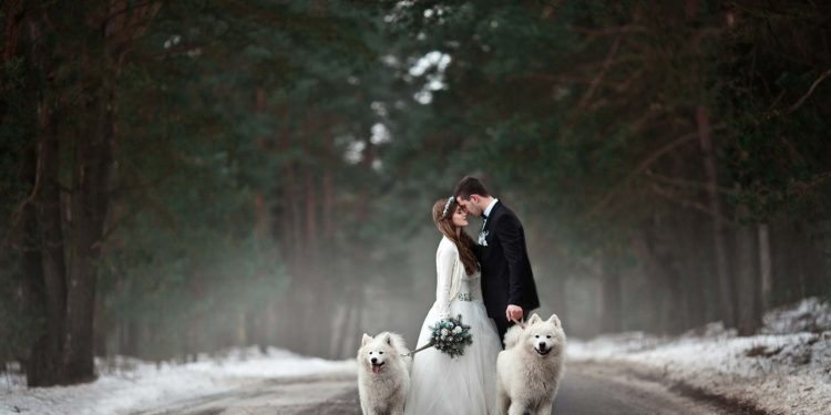 Wetter für eure Hochzeit im Januar